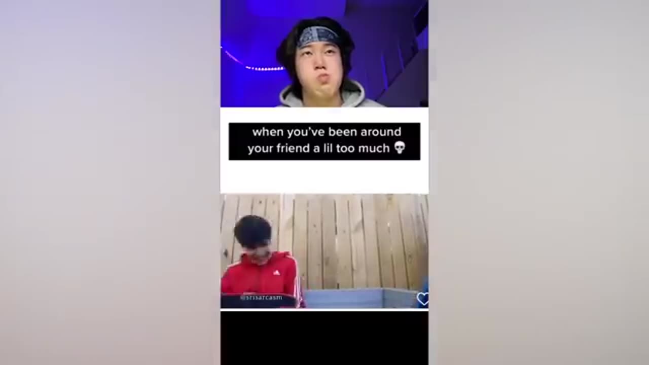 Try not to laugh challenge compilatin...