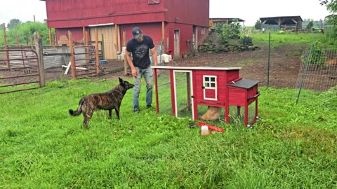 July BARN OPENING! _ HEAD COUNT! // Whitt Acres