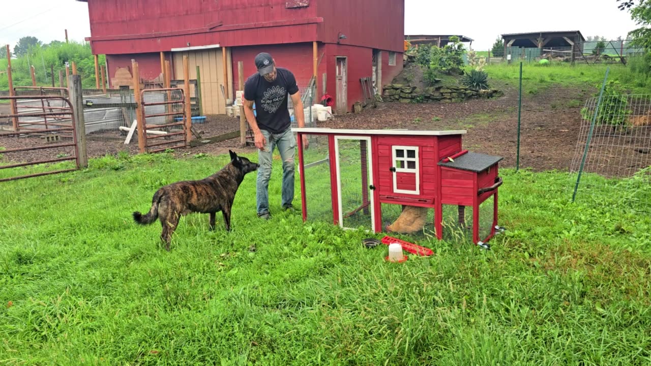 July BARN OPENING! _ HEAD COUNT! // Whitt Acres