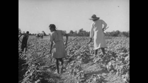 Henry Brown, Farmer - Henry Brown, Farmer - 16-p-665