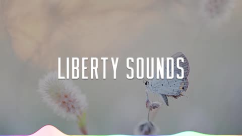 Dyalla - Wonderful No Copyright Music