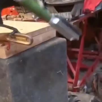 BIRDS ARE MUCH SMARTER THAN YOU THINK🐦‍⬛