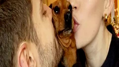 Jim Chapman and Tanya Burr Fans Finally Learn What