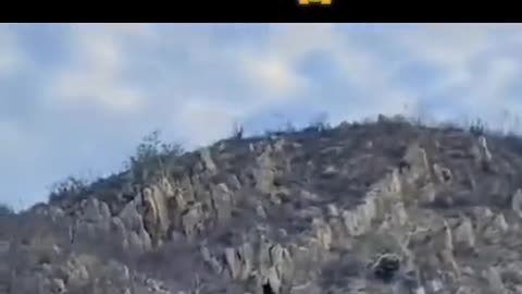 POV of real life giant caught in cave on video