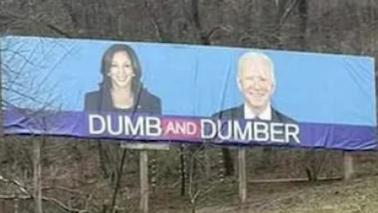 EP. 7 | DUMB AND DUMBER?!