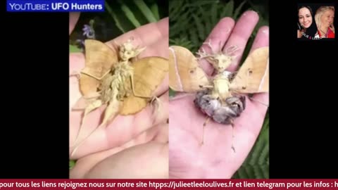 ApéroLiveLove avec Vous les Zzz'Amis 17/03 Les Zzz'Infos Bonheur de Leelou