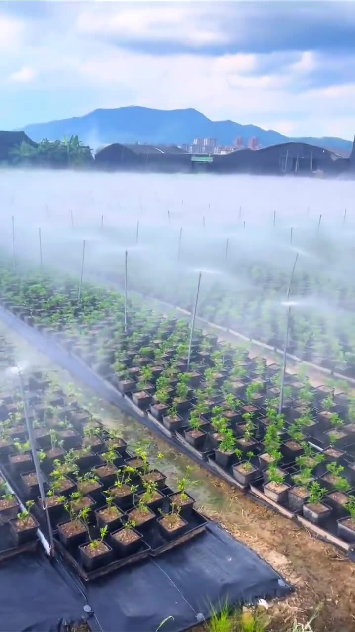 Amazing sprinkler system