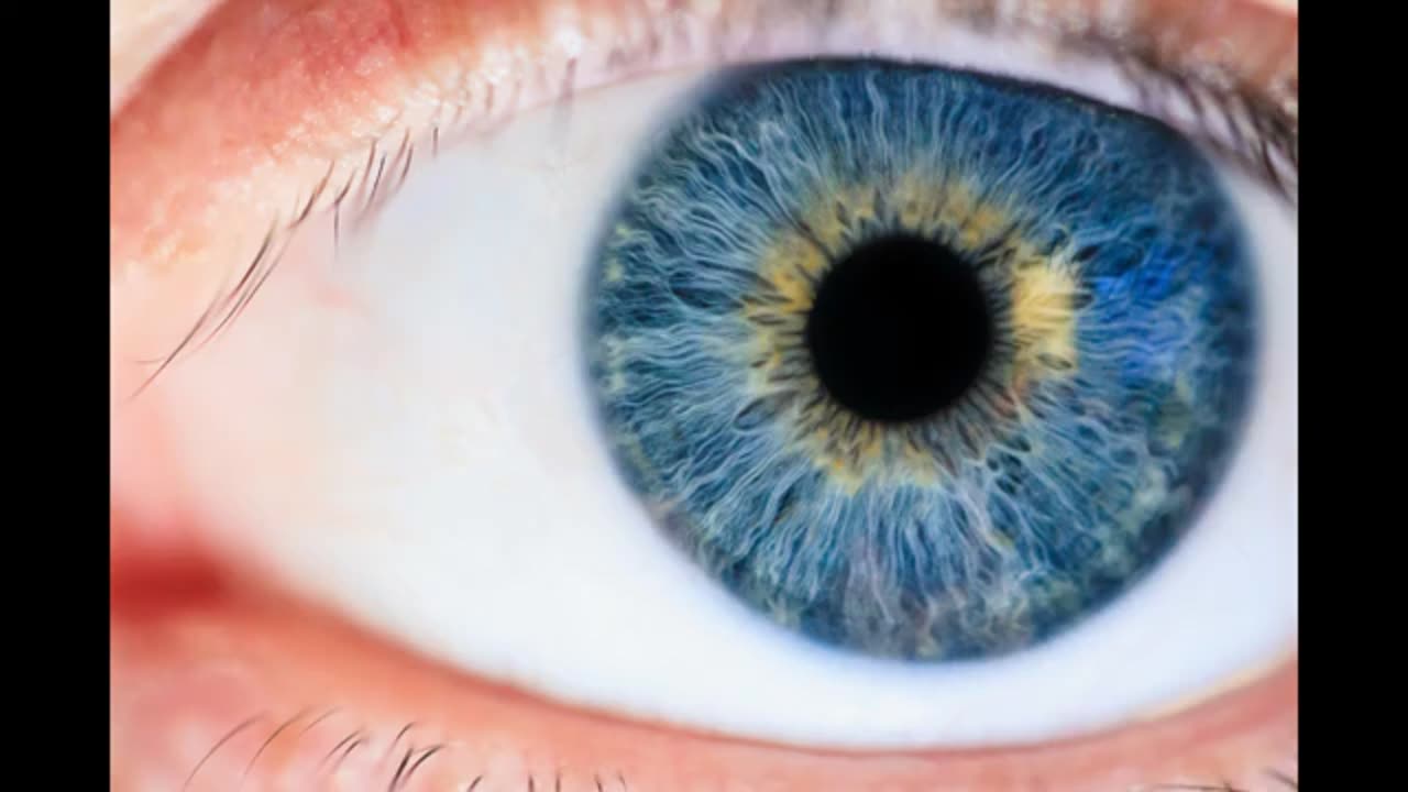 The Eyes Have It by Philip K. Dick Full Audiobook
