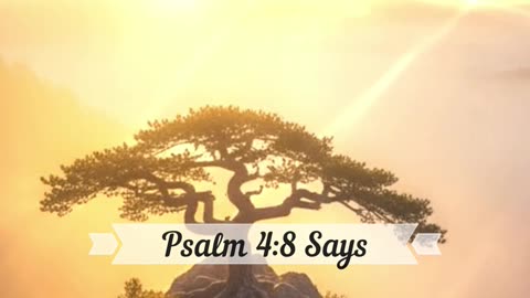 “Peace Before Sleep | Bible Short #2 – Psalm 4:8 (KJV)” #motivation