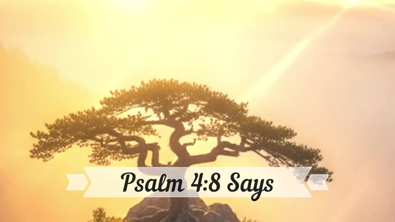 “Peace Before Sleep | Bible Short #2 – Psalm 4:8 (KJV)” #motivation