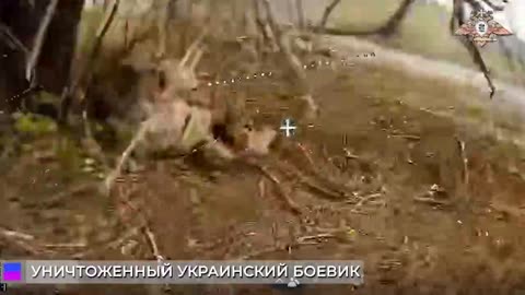 Ukraine war related/combat footage 12/10/2025
