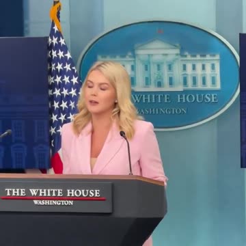 Press Secretary Leavitt calls out Fake news