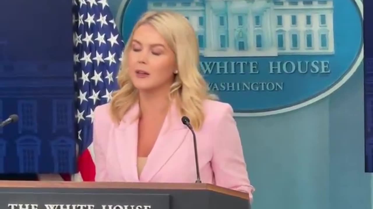 Press Secretary Leavitt calls out Fake news