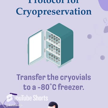High-Quality Cryopreserved Primary Cells | Kosheeka