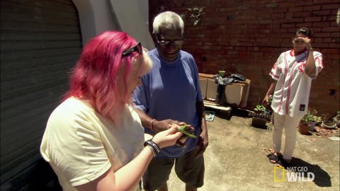 Snake City