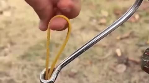 The perfect shark hook knot.hd