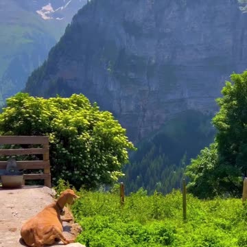 What a beautiful view | Welcome to beauty of nature - 00017