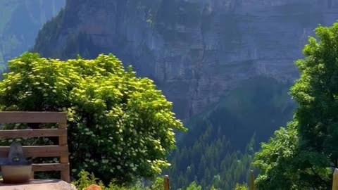 What a beautiful view | Welcome to beauty of nature - 00017