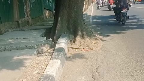 problems on the road