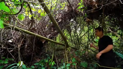Build a shelter on a fallen tree trunk.