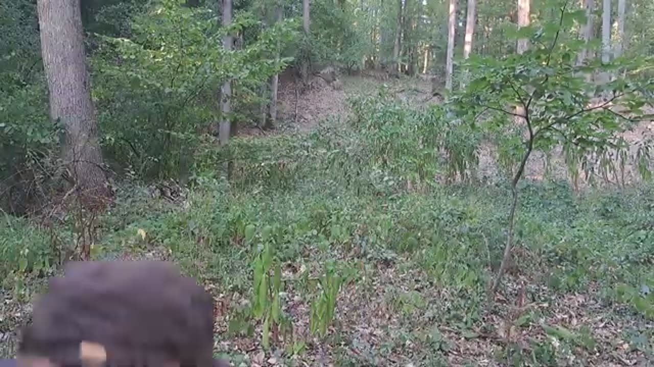 Dangerous camping Part 2