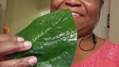 Blackeyed Pea Leaves versus Greens Taste Test - #catshobbycorner #gardening
