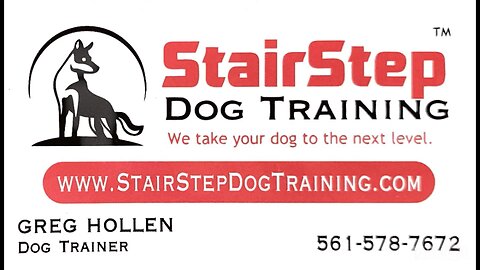 Brushing thick coat dogs