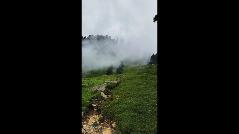 nature therapy ❤️