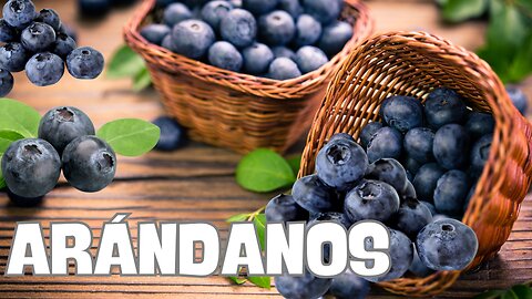BENEFICIOS DE CONSUMIR ARANDANOS