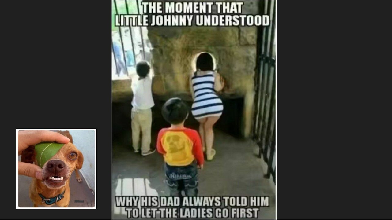 Memes That Will 99.0128% Make You Laugh. (e352)