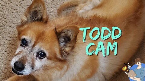 Return of the Todd Cam!