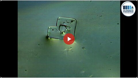 "Pfizer COVID Vaccine: A Special Report on Graphene Nanotechnology and Self-Assemblies"