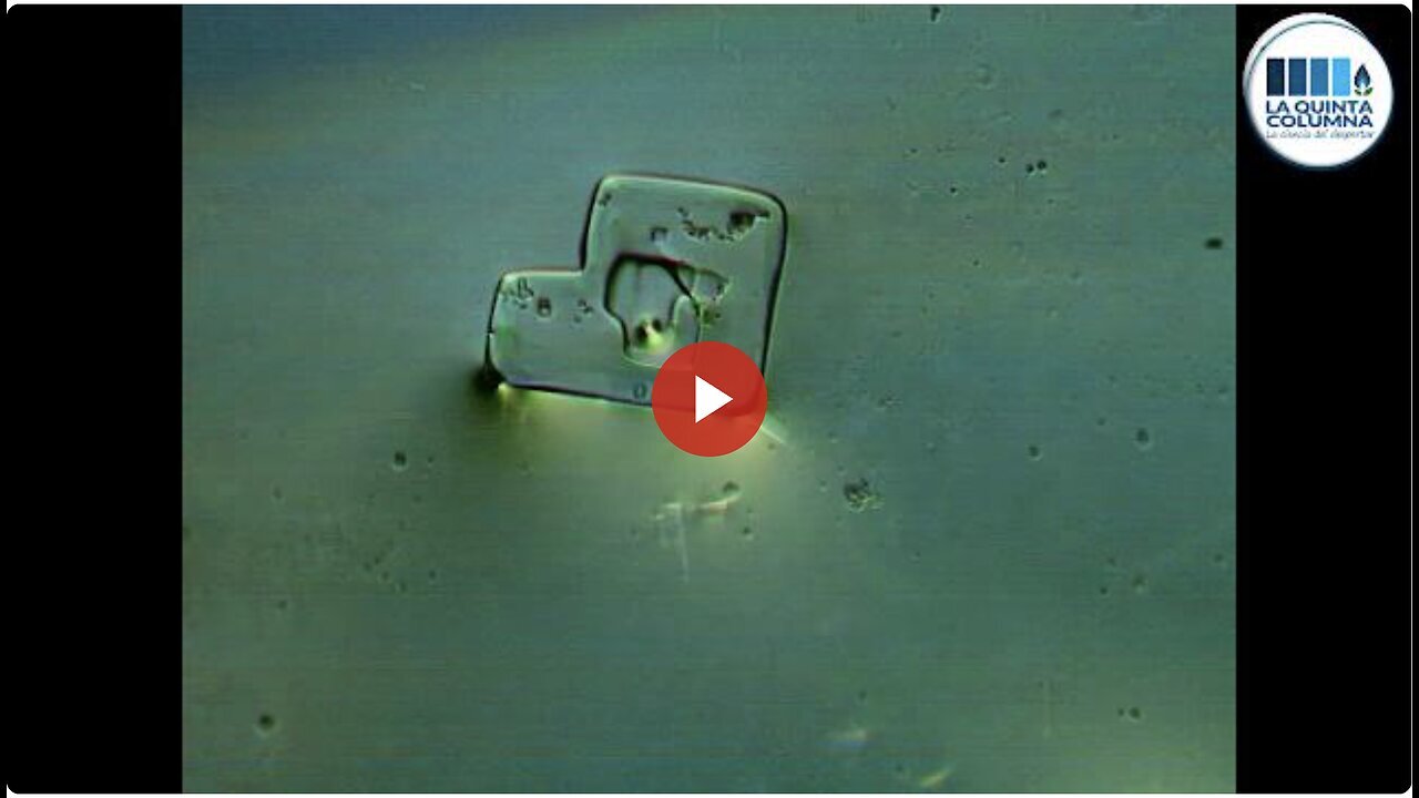 "Pfizer COVID Vaccine: A Special Report on Graphene Nanotechnology and Self-Assemblies"