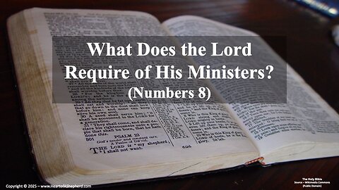 What Does the Lord Require of His Ministers? (Numbers 8) A daily video devotion.