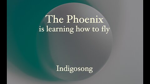 The Phoenix is learning how to fly - Indigosong