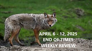 END OF TIMES WEEKLY REVIEW