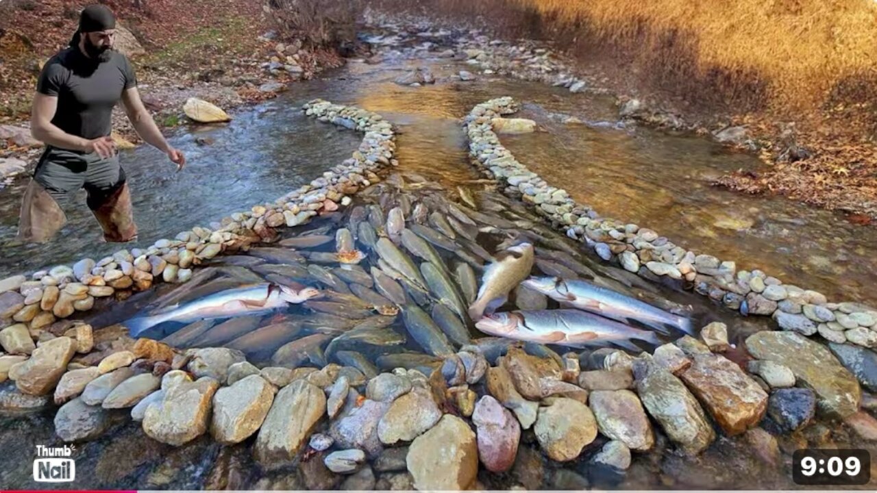 Most ̇nteresting Fishing Technique Unbelievable Big Fish