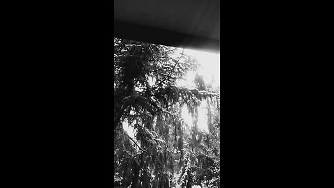 PIPEBOMBS? FUCK THAT MY STORY KS BIGGER THAN ANYTHING OUT THERE!