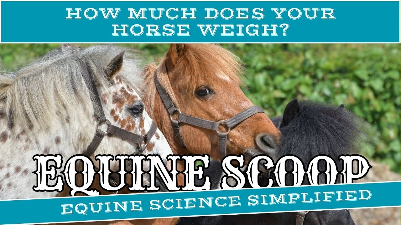 How Much Does Your Horse Weigh?