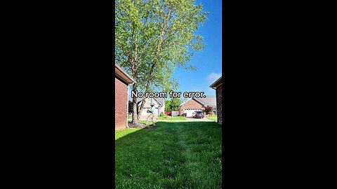Dropping a Big Birch Between Two Houses | No Room for Error