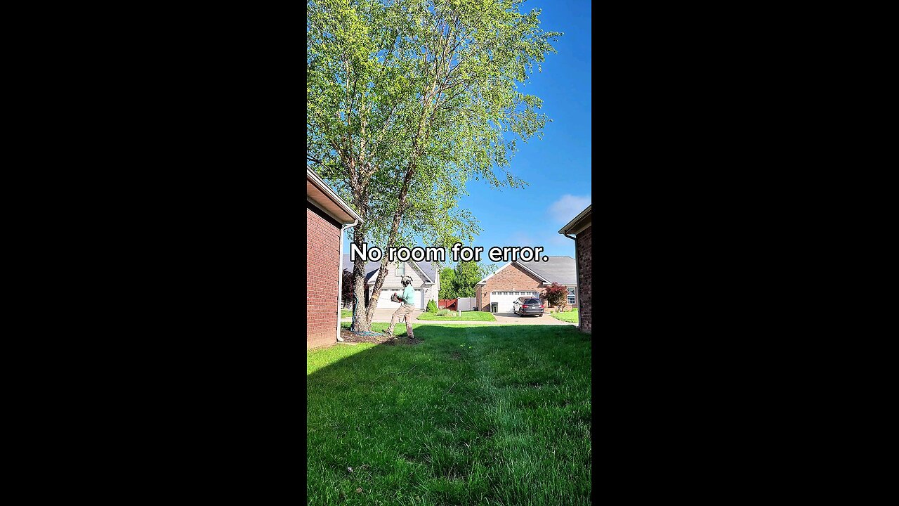 Dropping a Big Birch Between Two Houses | No Room for Error