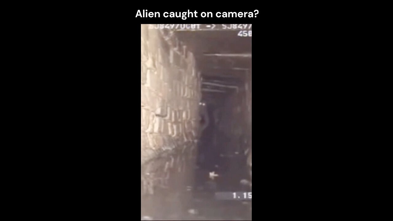 Alien caught on camera?