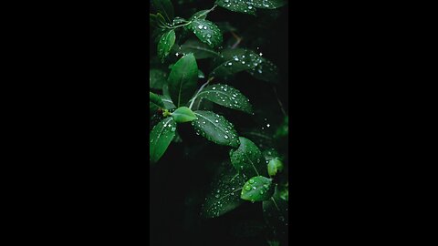 Hadees e nabvi (saw) #islam #viralvideos #islamicreminders #hadeesenabvi #prophetmuhammadsaw