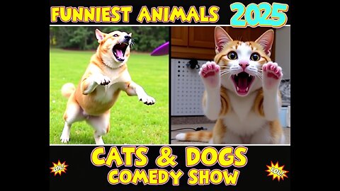 🤣 Funniest Animals 2025 | Ultimate Cats & Dogs Comedy Show 😻🐶 Part 1