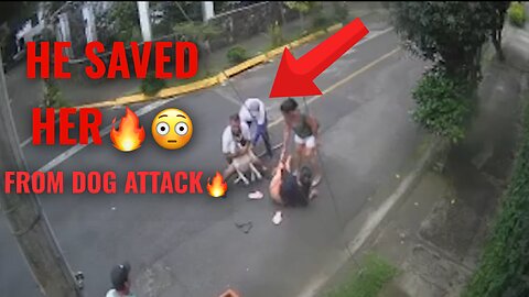 He Saved Her Life from a Wild Dog 🐶🔥