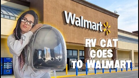 RV Cat goes to Walmart + Valentines Day, RV Life | Full-Time RV Living