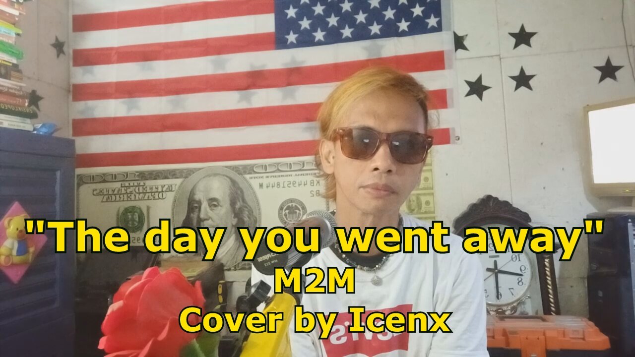 The Day You Went Away - M2M cover by Icenx