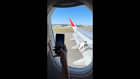 Cat on Plane: The Shocking Truth