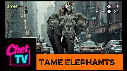 Tame Elephants Music Video 2025
