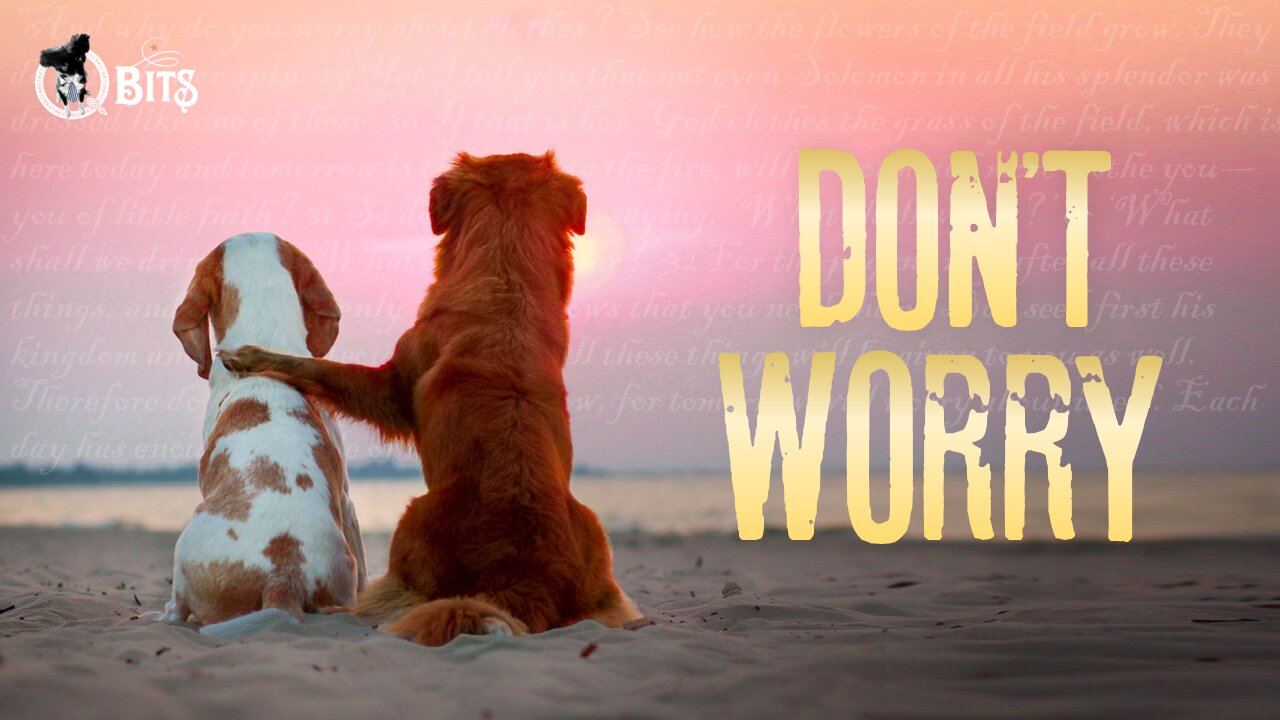 #1015 // DON'T WORRY - LIVE